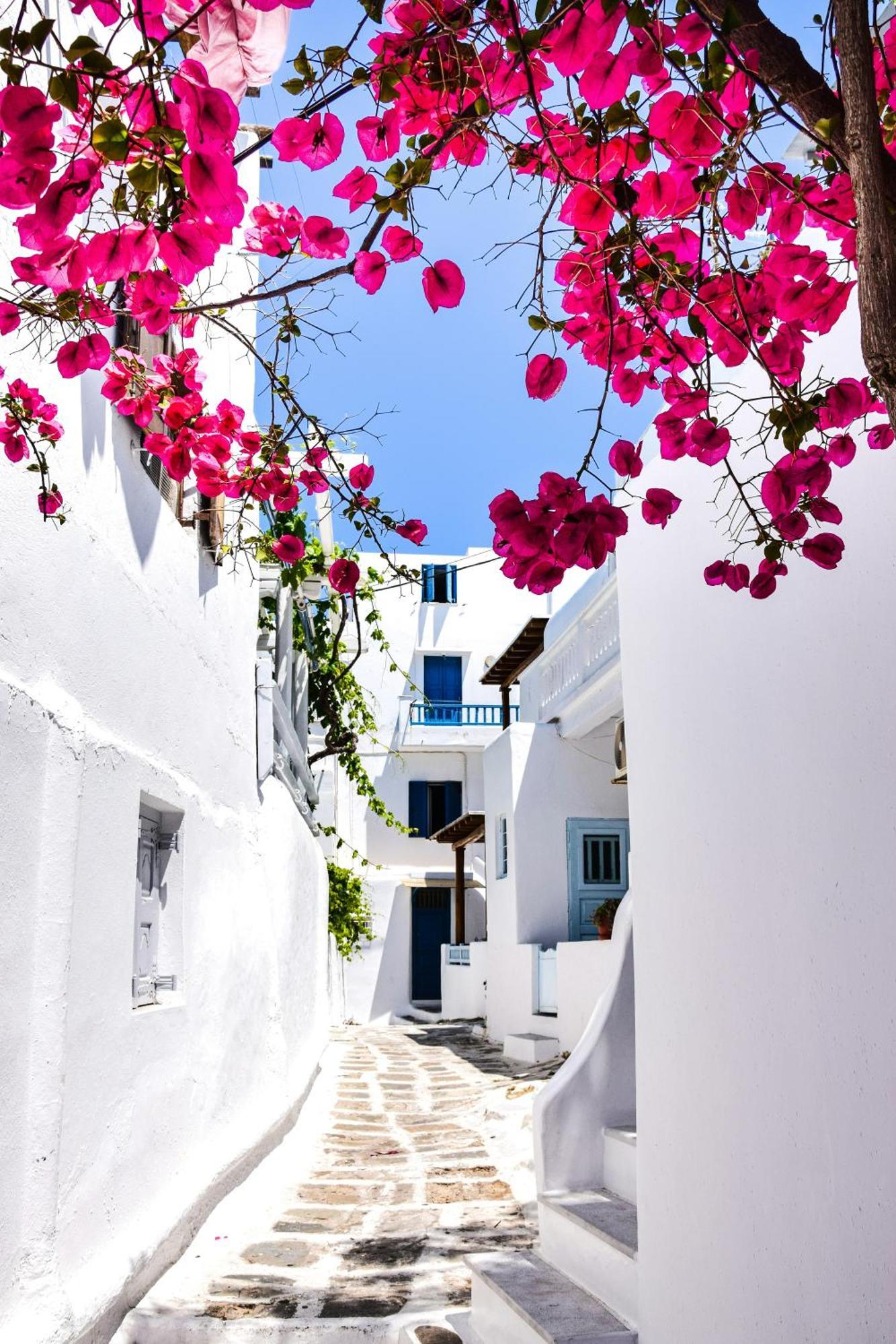 Mykonos Town Aniko Suites White Alley מראה חיצוני תמונה
